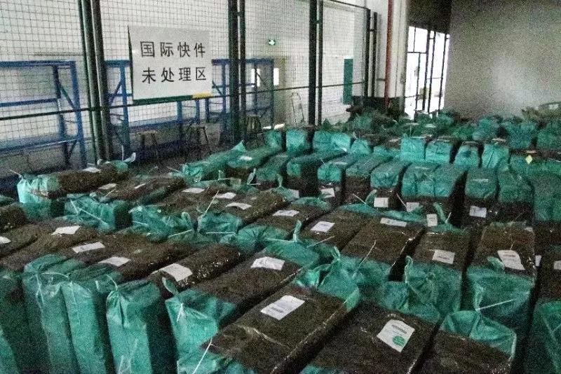 1541496292778764.jpg 2.jpg