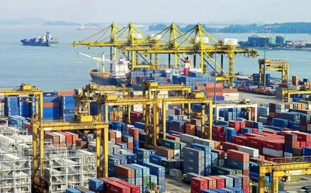 1545176458830903.jpg 1.jpg