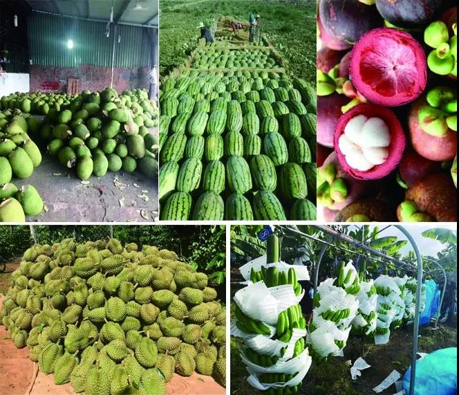 1555483397645673.jpg 1.jpg